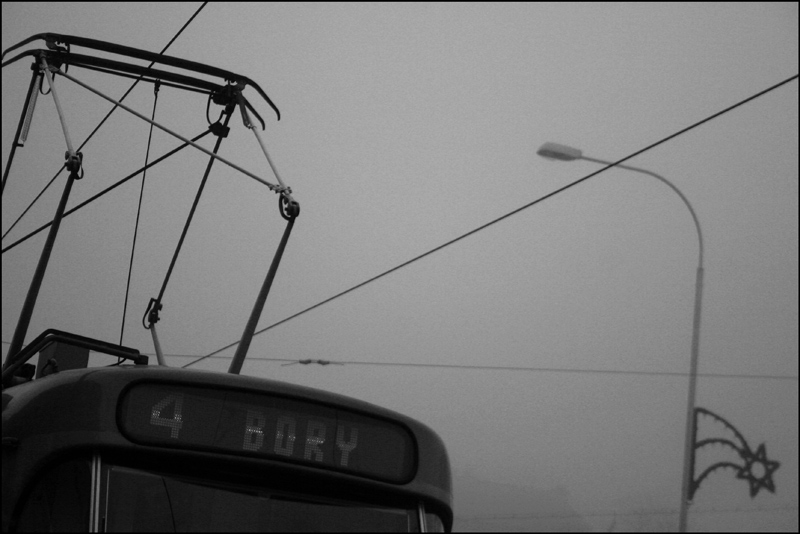 tram number 4